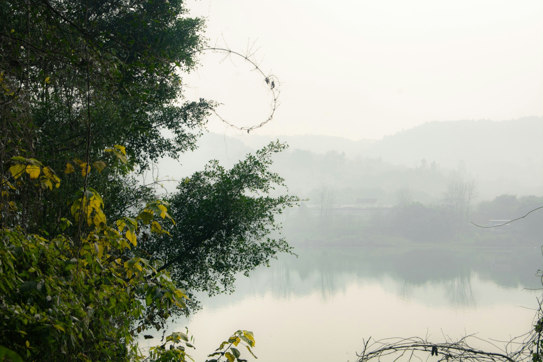 A landscape